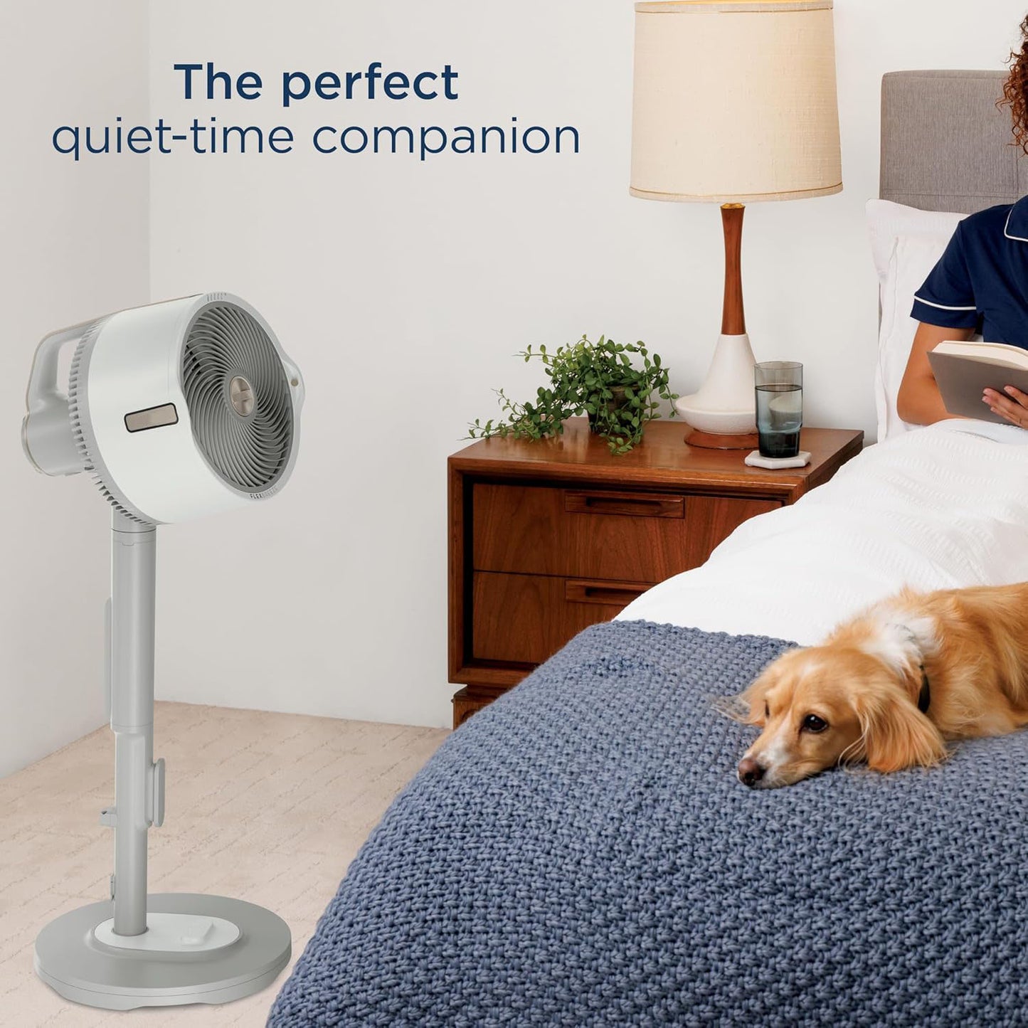 ☀️Summer Sale 50% OFF🌊Cordless Portable Misting Fan